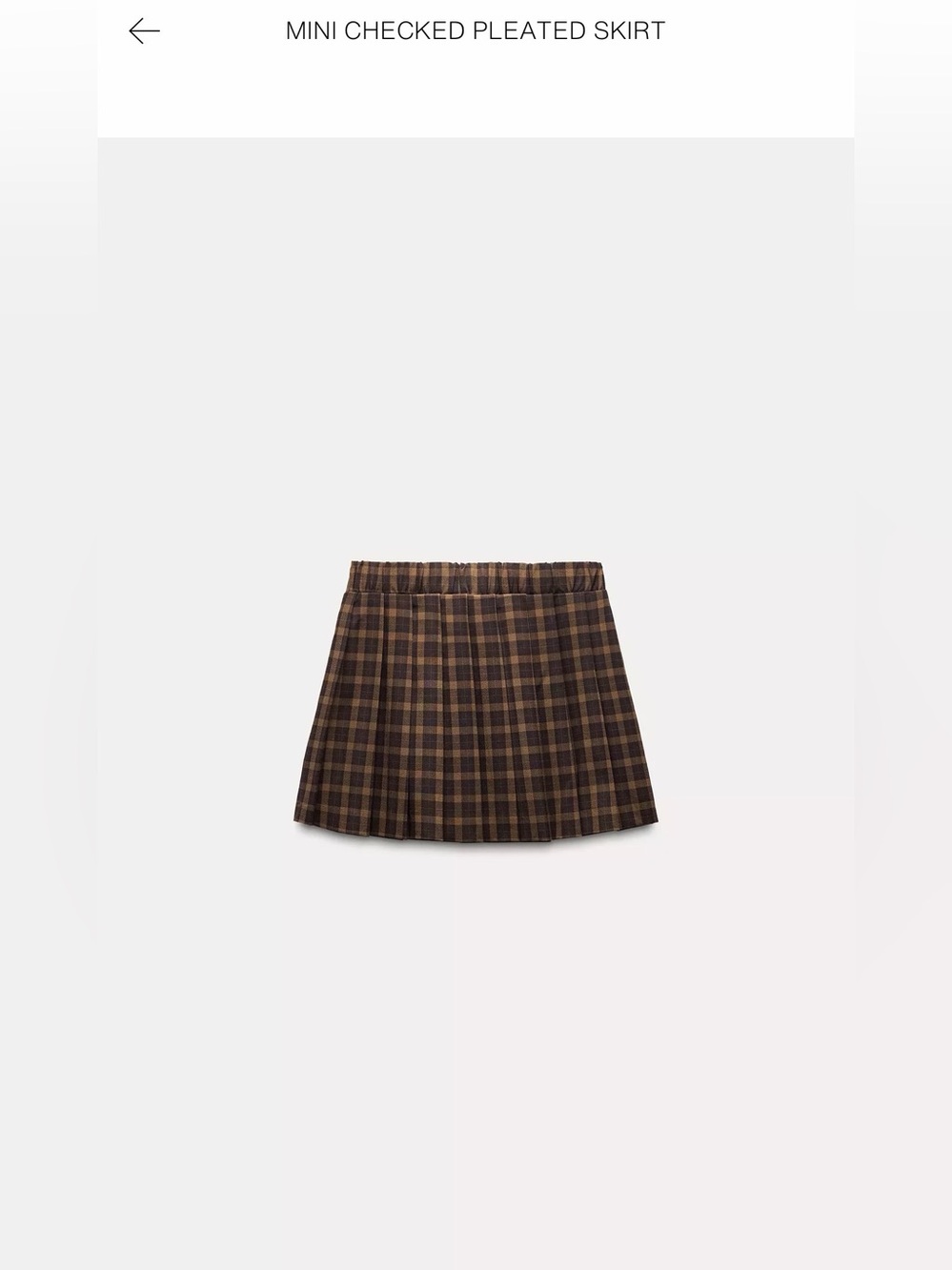 Zara Mini Checked Pleated Skirt